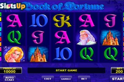 Book Of Fortune Amatic Casino Slots 