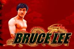Bruce Lee Wms Slot Game 