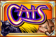Cats Igt Slot Game 