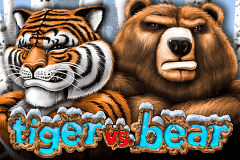 Tiger Vs Bear Genesis Slot Game 