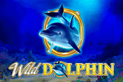 Wild Dolphin Gameart Slot Game 