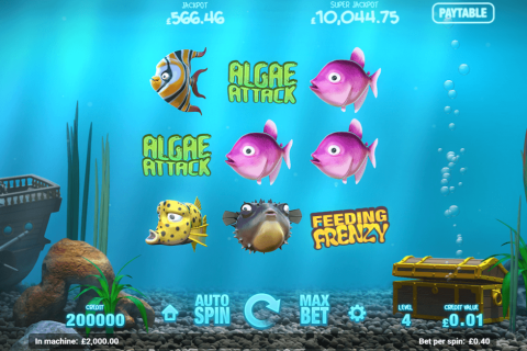Fish Tank Magnet Gaming Casino Slots 