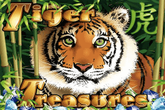 Tiger Treasures Rtg Slot Game 