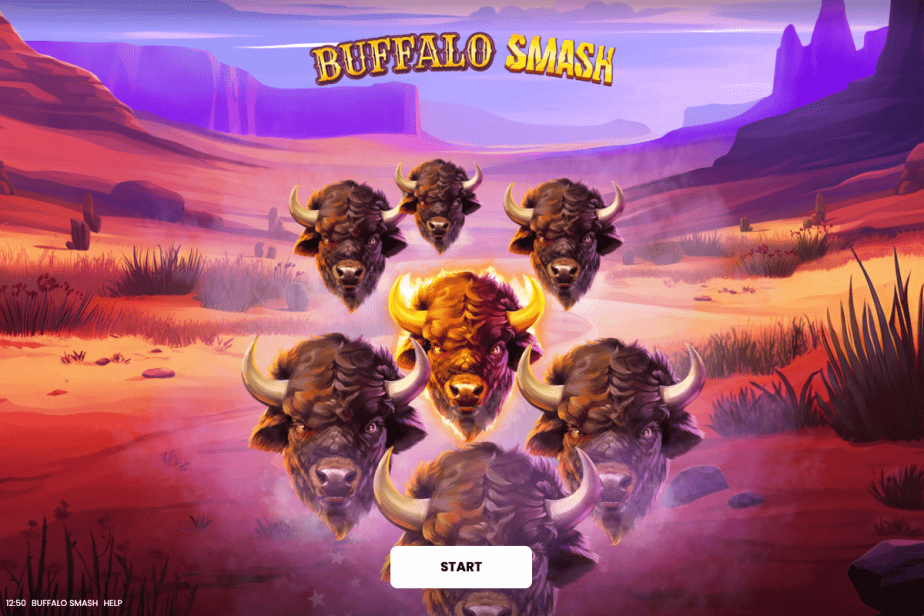 Buffalo Smash Start Screen 