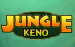 Jungle Keno By Caleta Gaming Developer Thumbnail 