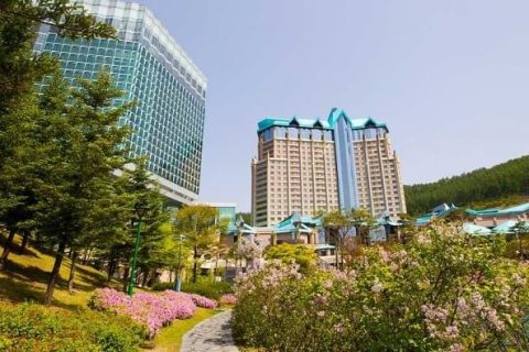 Kangwon Land Out Earned All Other Korean Casinos In 2019 1 