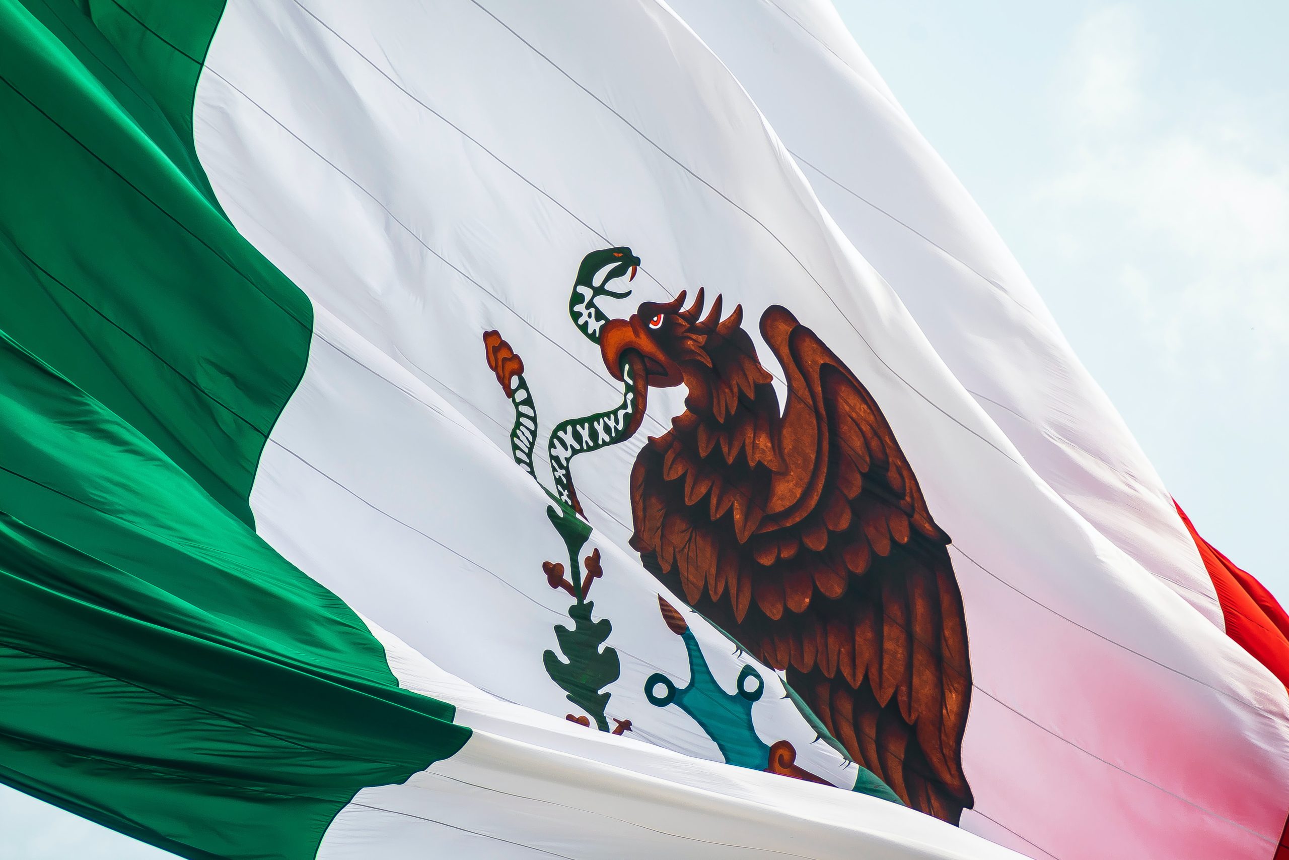 Mex Yanks Licenses Recently Issued To Several Casinos Scaled 