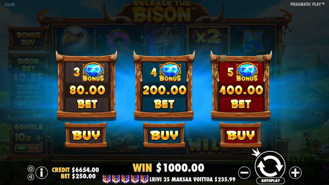 Release The Bison Buy Bonus Screen 