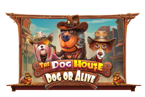 The Dog House Dog Or Alive 