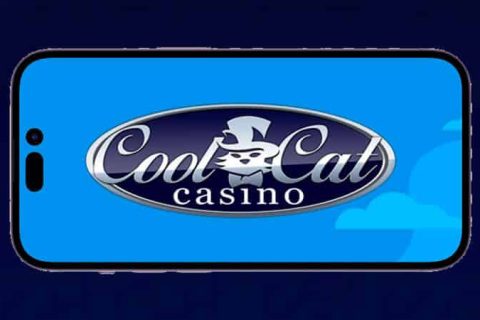 Cool Cat Casino App Review 