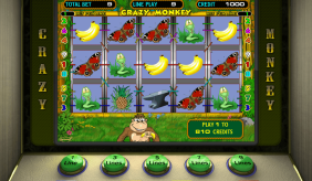 Crazy Monkey Igrosoft Casino Slots 
