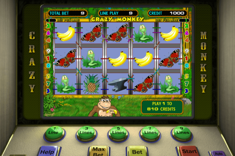 Crazy Monkey Igrosoft Casino Slots 