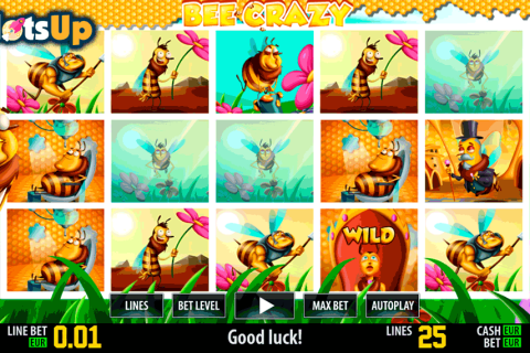Bee Crazy Hd World Match Casino Slots 