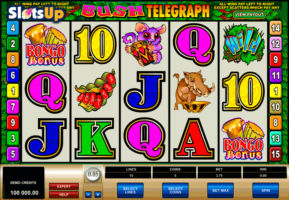 bush telegraph microgaming casino slots 
