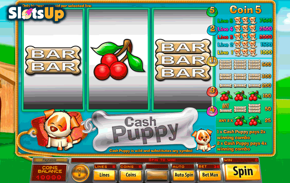cash puppy saucify casino slots 