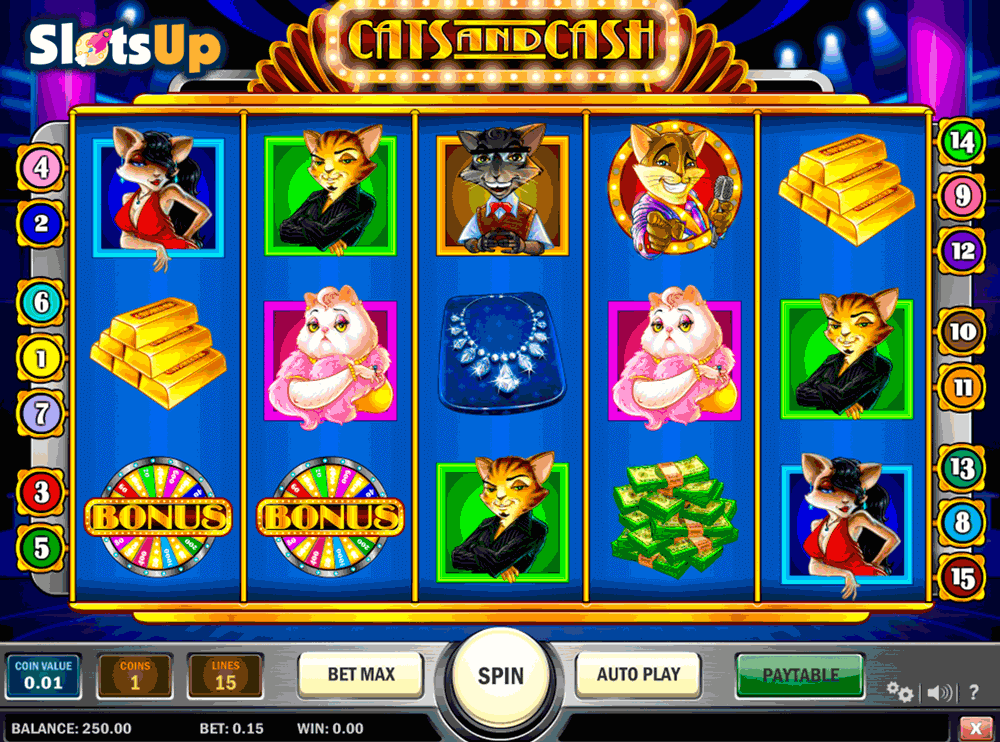 cats and cash playn go casino slots 