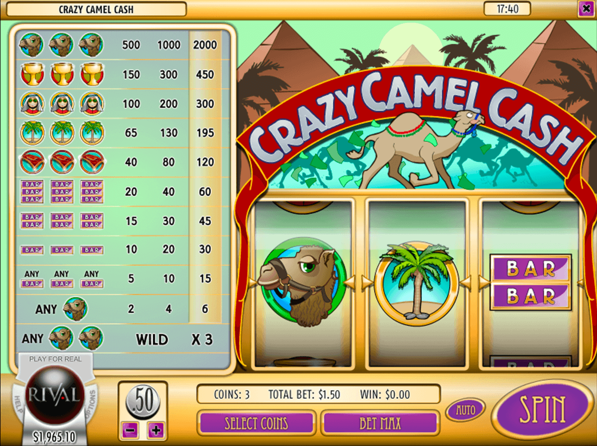 crazy camel cash rival casino slots 