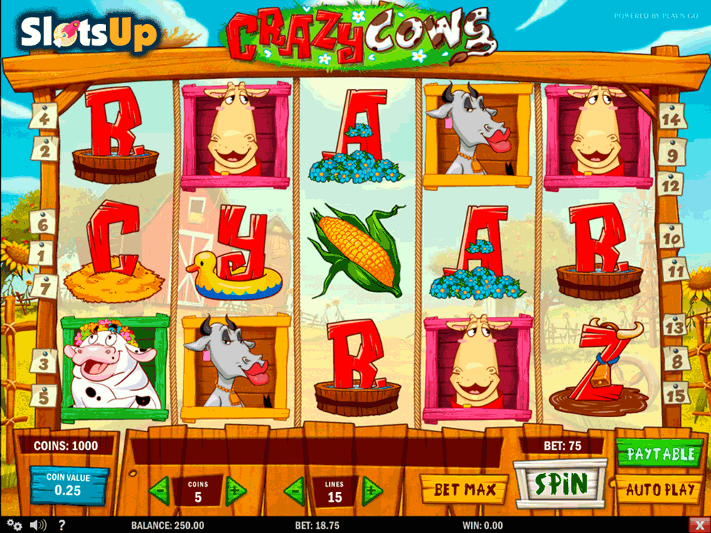 crazy cows playn go casino slots 