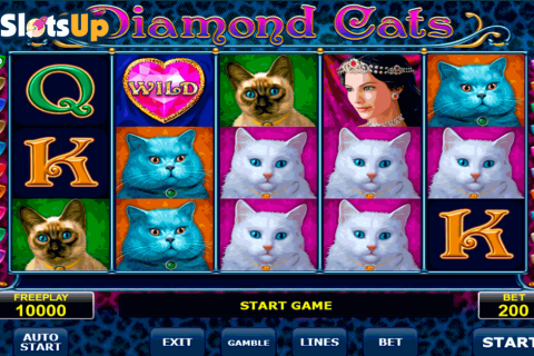 Diamond Cats Amatic Casino Slots 