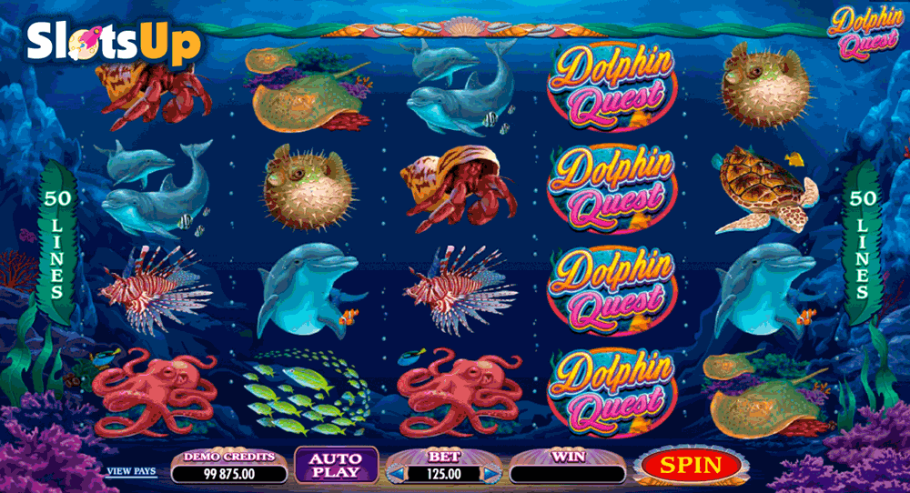 dolphin quest microgaming casino slots 