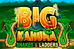 Big Kahuna Snakes And Ladders Microgaming Slot Game 