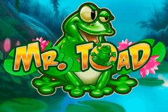 Mr Toad Playn Go Slot Game 