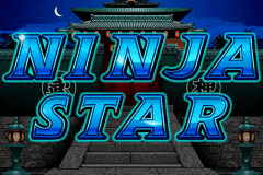 Ninja Star Rtg Slot Game 