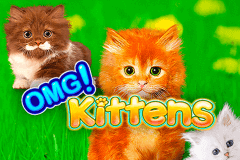 Omg Kittens Wms Slot Game 