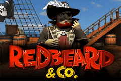 Redbeard Co Pragmatic 