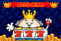 Reel King Novomatic Slot Game 