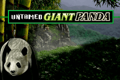 Untamed Giant Panda Microgaming Slot Game 