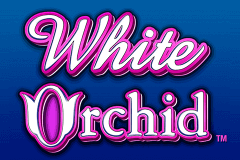 White Orchid Igt Slot Game 