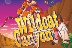 Wild Cat Canyon Nextgen Gaming Slot Game 