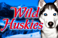 Wild Huskies Bally Slot Game 