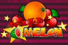 Wild Melon Playn Go Slot Game 