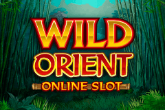 Wild Orient Microgaming Slot Game 
