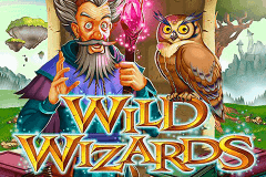 Wild Wizards Rtg Slot Game 