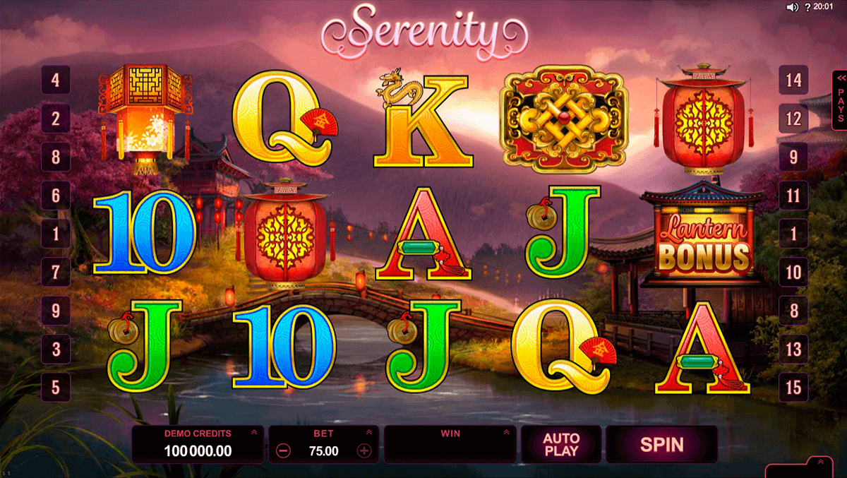 lucky twins microgaming casino slots 