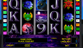 Panther Moon Novomatic Casino Slots 
