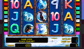 Polar Fox Novomatic Casino Slots 
