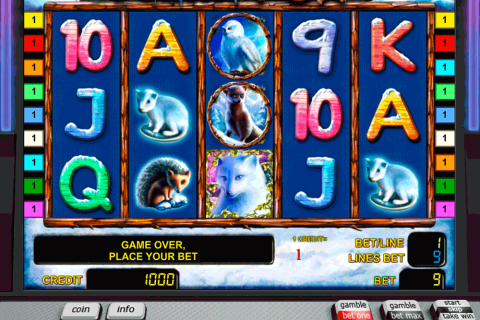 Polar Fox Novomatic Casino Slots 