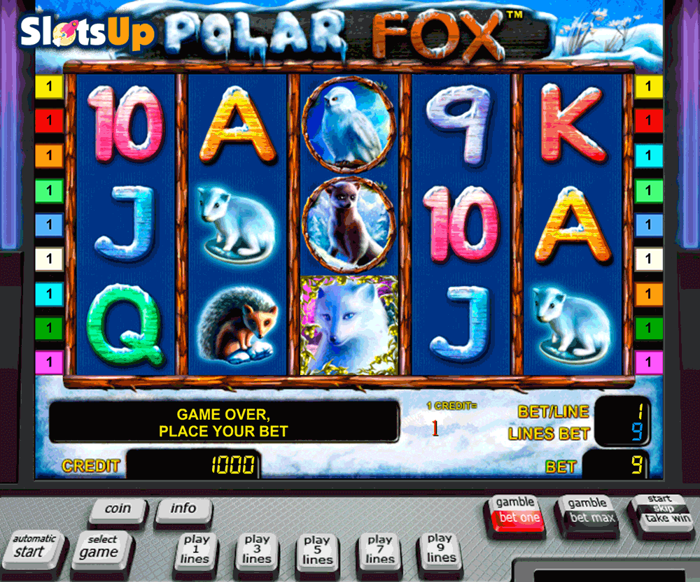 polar fox novomatic casino slots 
