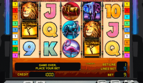 Safari Heat Novomatic Casino Slots 