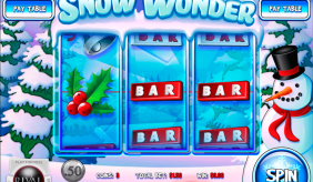 Snow Wonder Rival Casino Slots 