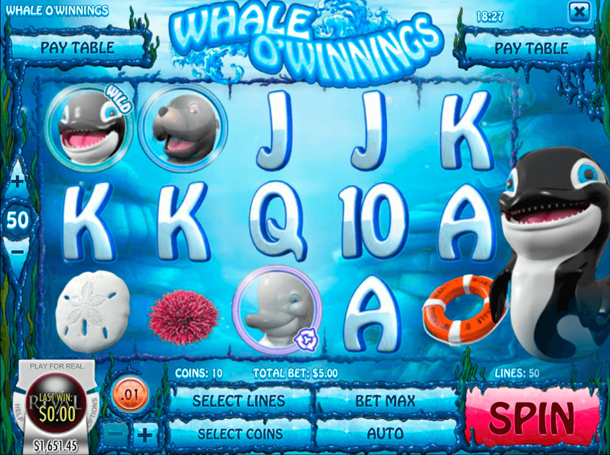 whale o winnings rival casino slots 