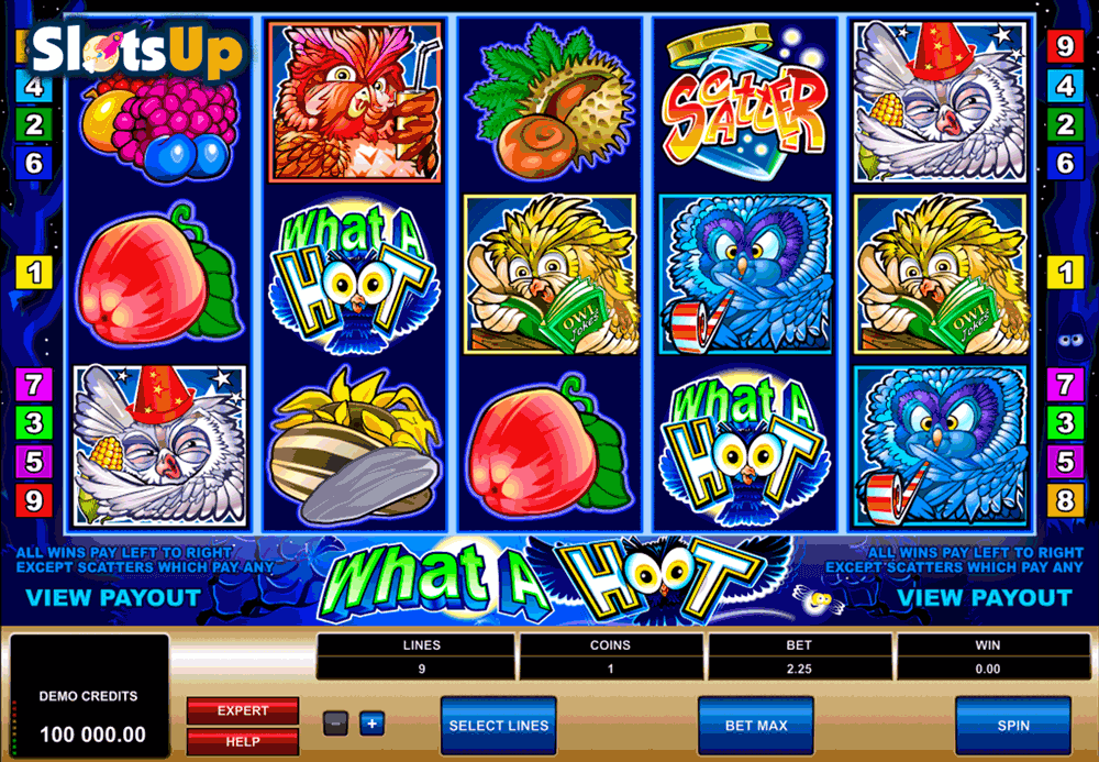 what a hoot microgaming casino slots 