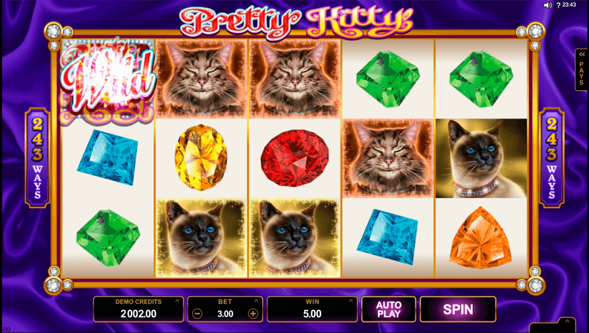 win sum dim sum microgaming casino slots 