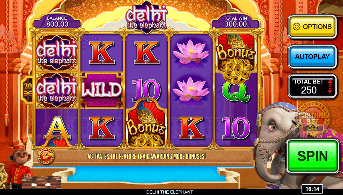delhi the elephant inspired gaming casino slots 