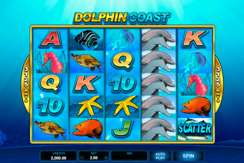 Dolphin Coast Microgaming Casino Slots 