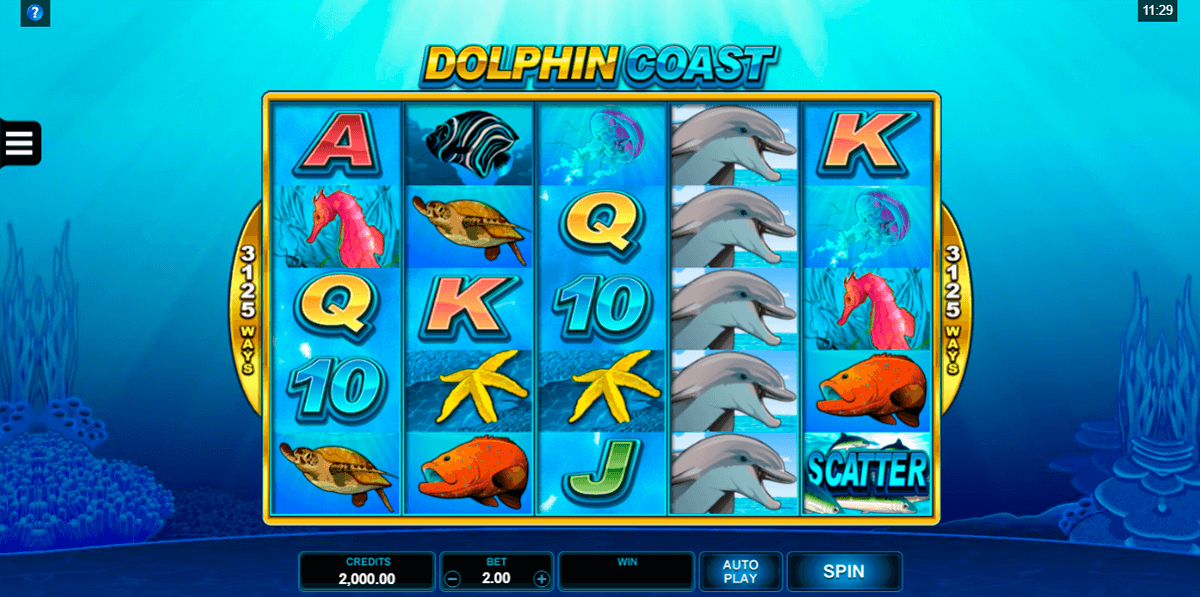 dolphin coast microgaming casino slots 